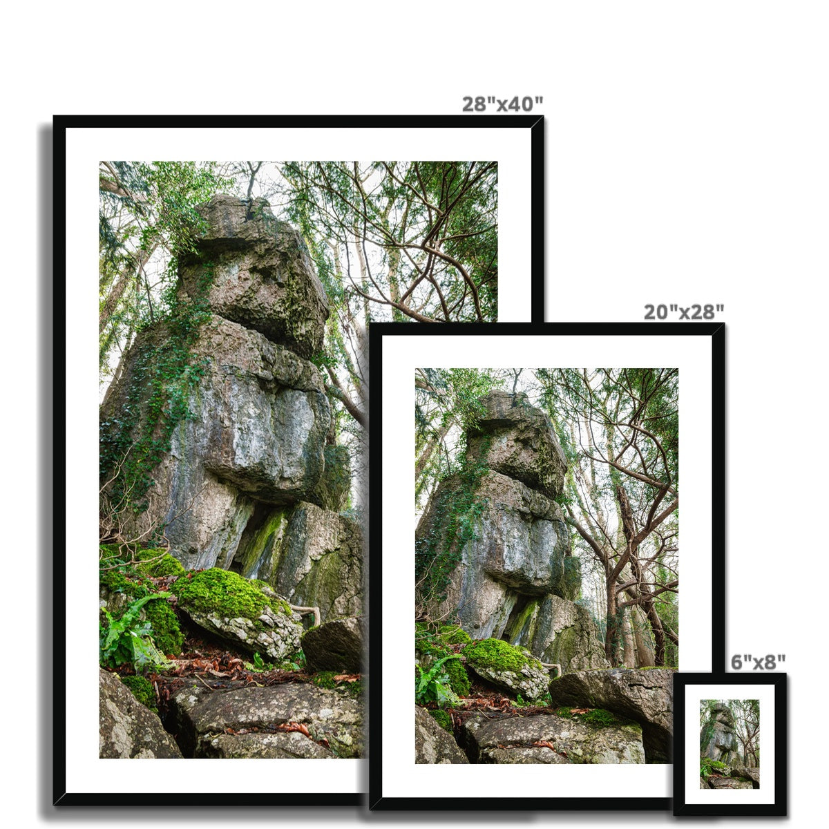 Rock Guardian Framed & Mounted Print