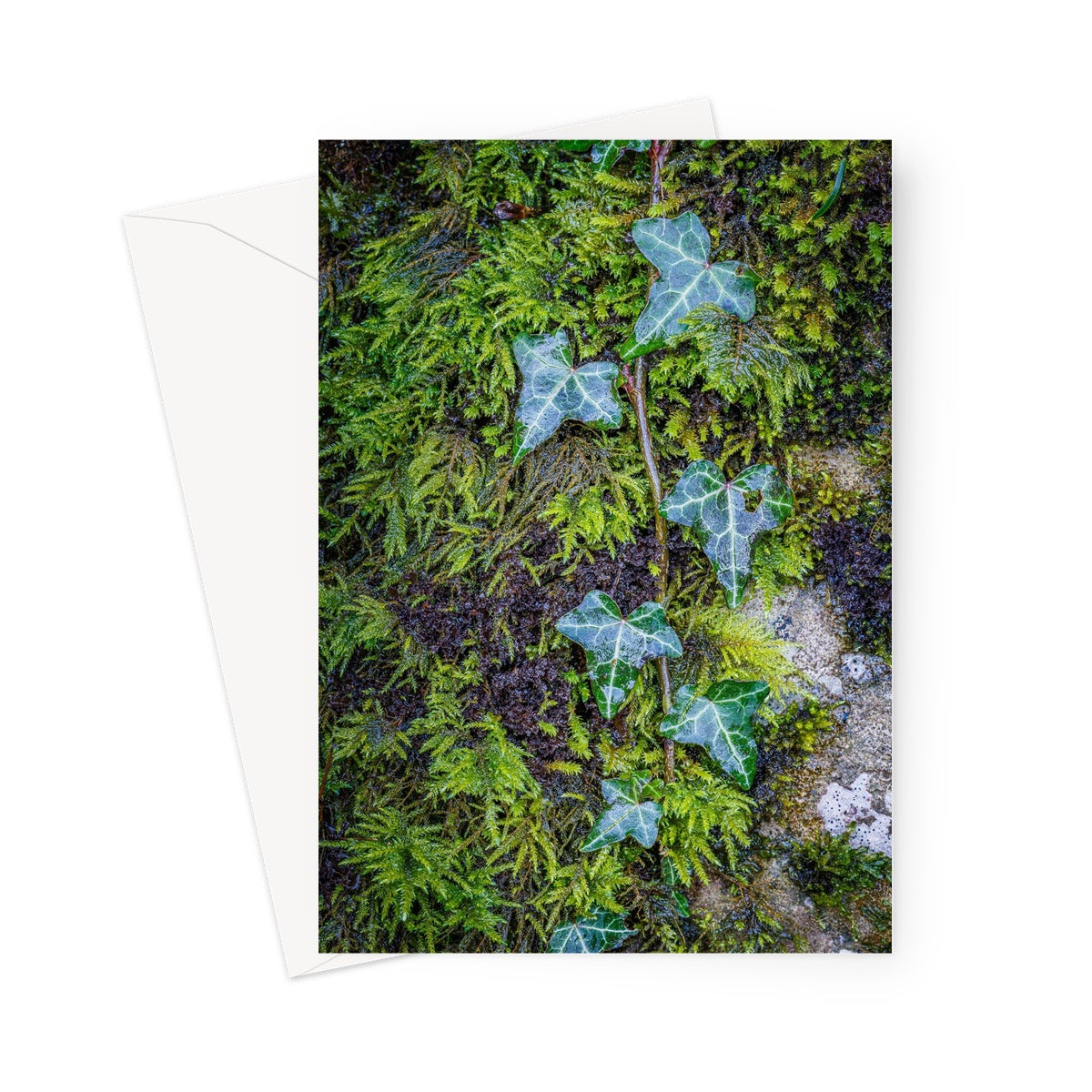 Ivy Clad Greeting Card