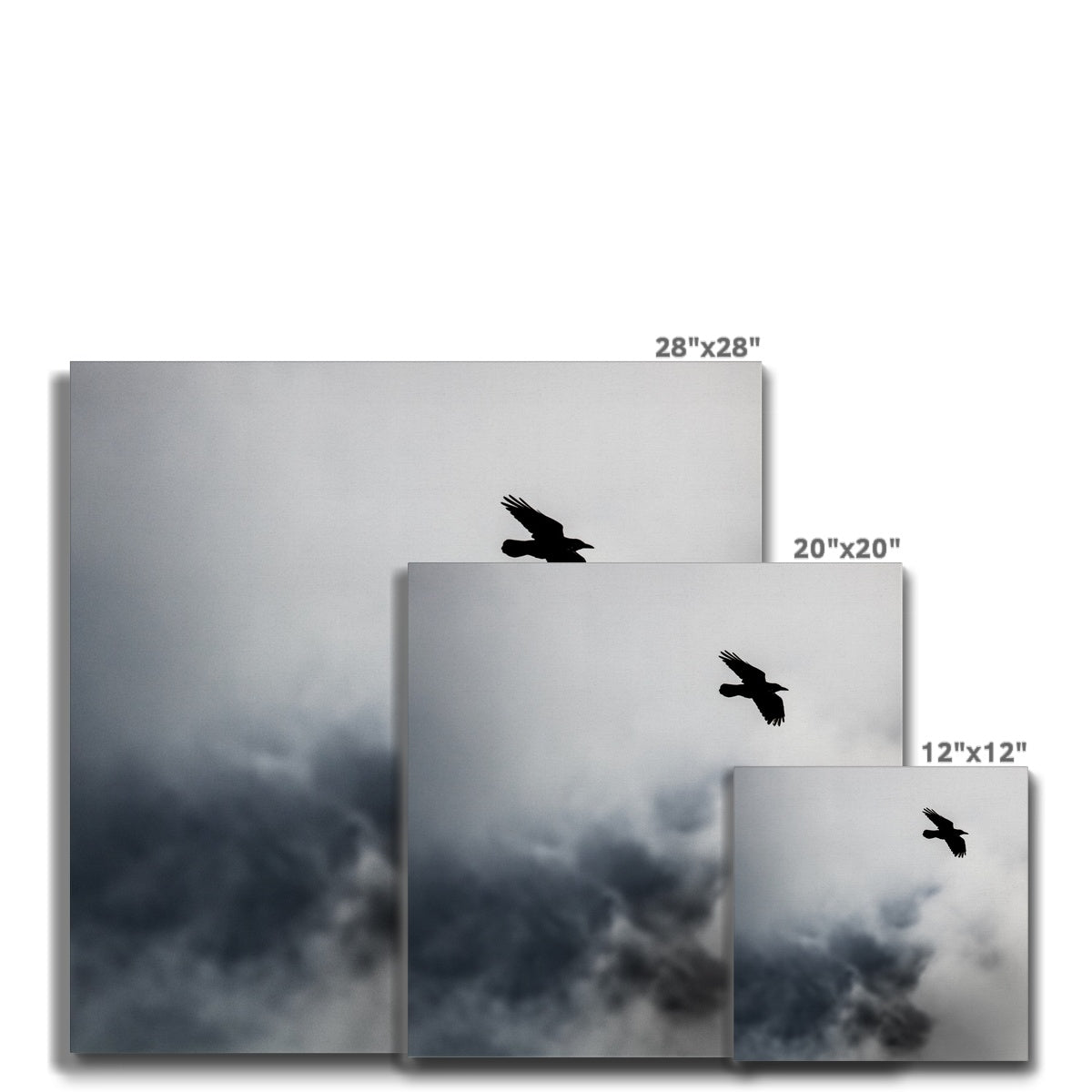 Storm Raven 2 Canvas