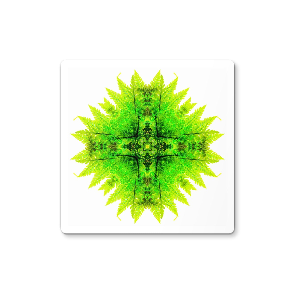 Spirit of Place Coaster