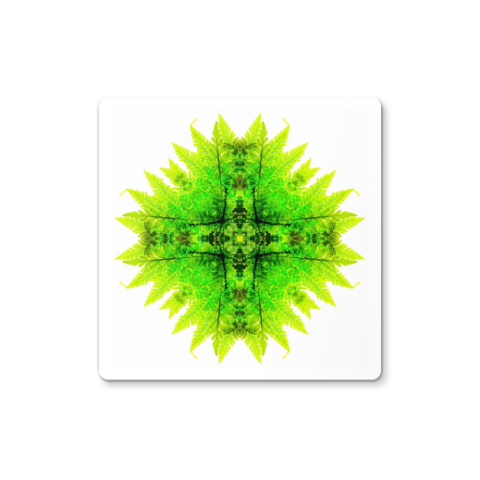 Spirit of Place Coaster