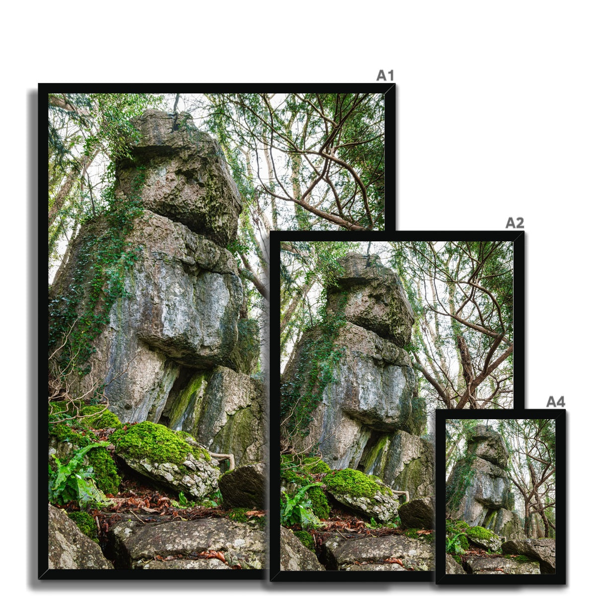 Rock Guardian Framed Print