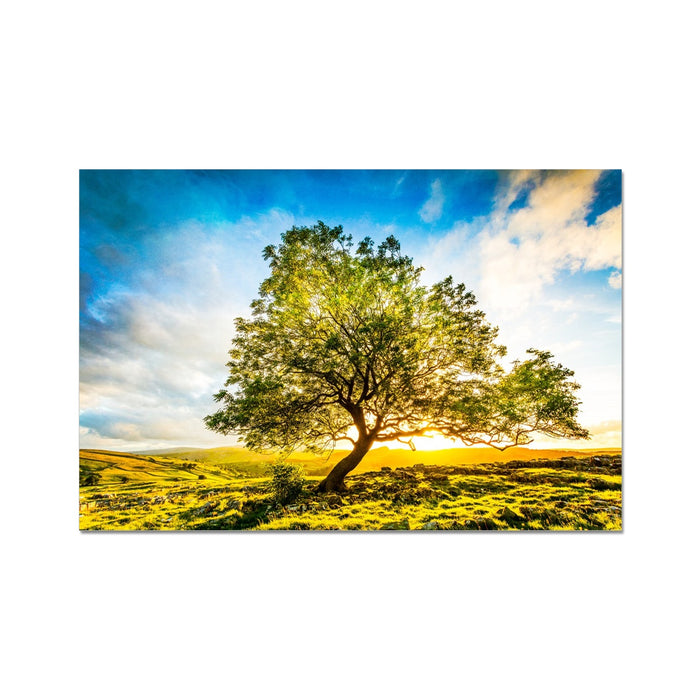 The Winskill Ash Wall Art Poster