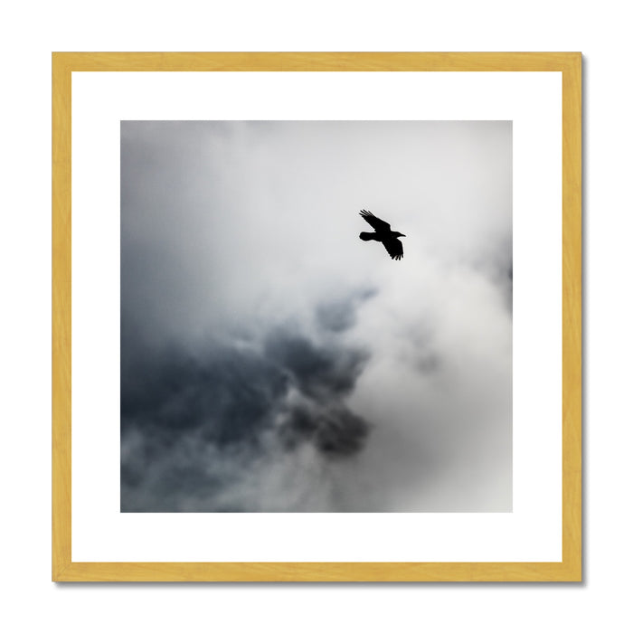 Storm Raven 2 Antique Framed & Mounted Print