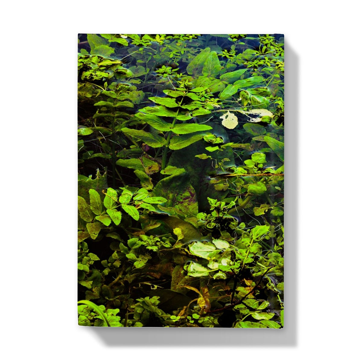 Woodwell Pool Hardback Journal