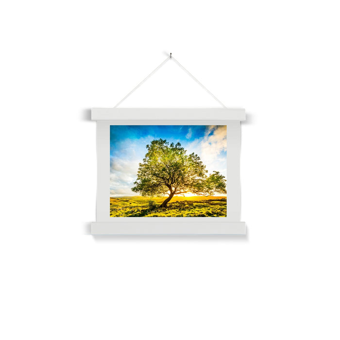 The Winskill Ash Fine Art Print with Hanger