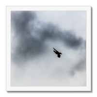 Storm Raven 3 Budget Framed Poster