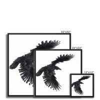 Raven 1 Framed Canvas