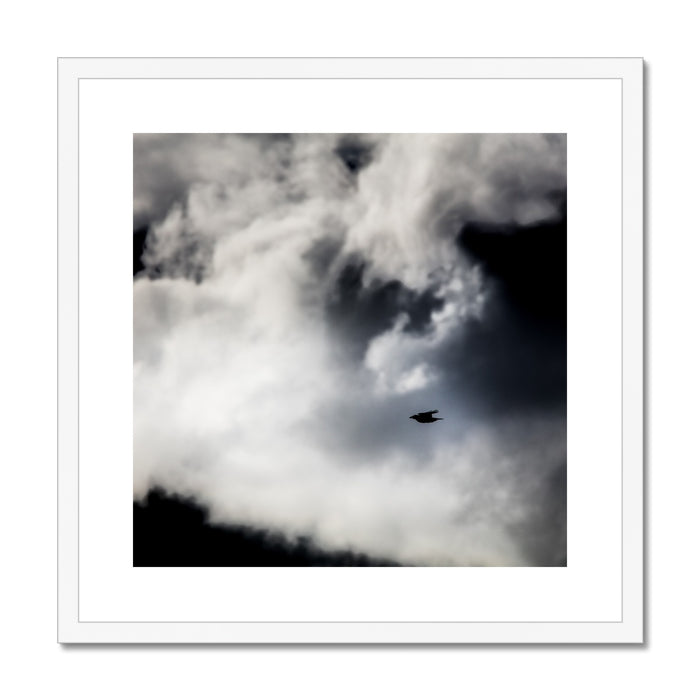 Storm Raven 1 Framed & Mounted Print
