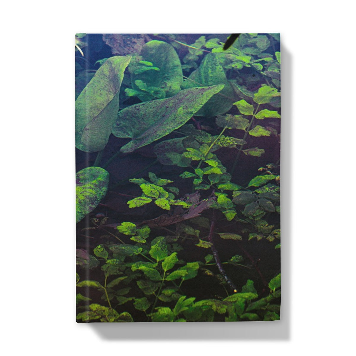 Sacred Pool Hardback Journal