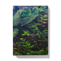 Sacred Pool Hardback Journal
