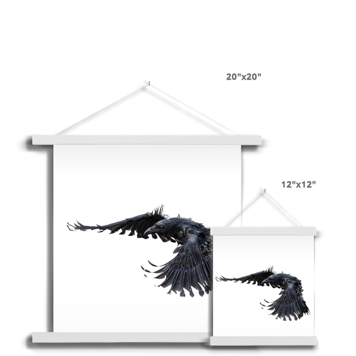 Raven 2 Fine Art Print with Hanger