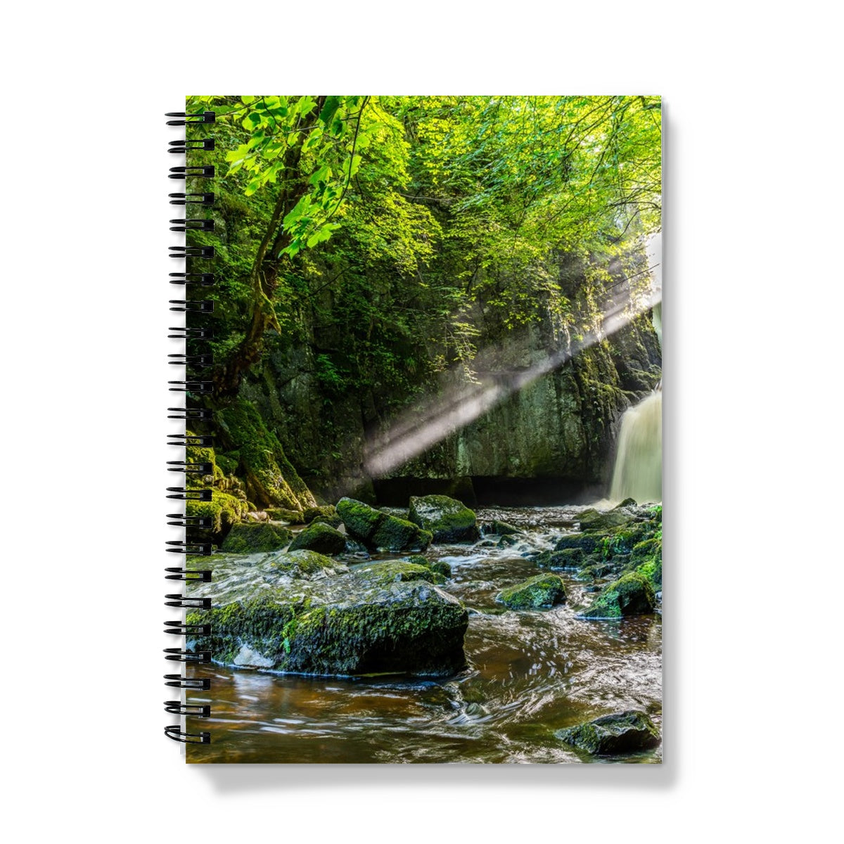 Catrigg Foss Notebook