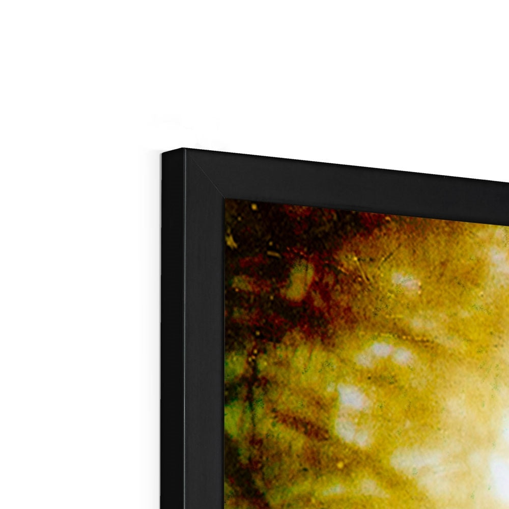 Woodland Crow Framed Print
