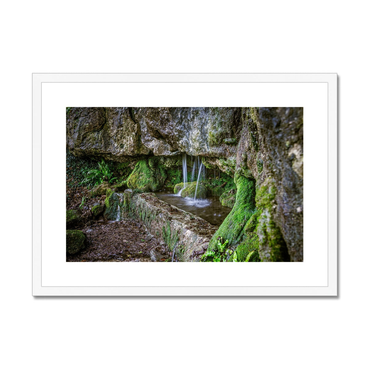 Woodwell basin Framed & Mounted Print