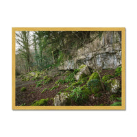 Woodwell Secrets Antique Framed Print