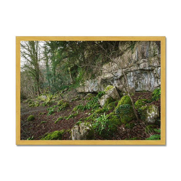Woodwell Secrets Antique Framed Print