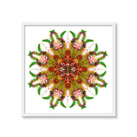 Bounty Mandala Framed Photo Tile