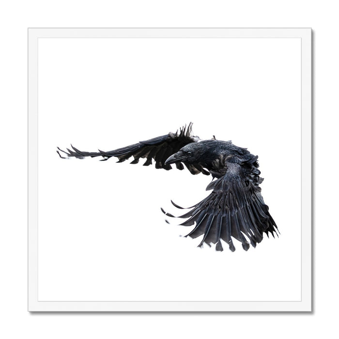 Raven 2 Budget Framed Poster