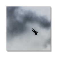 Storm Raven 3 Canvas