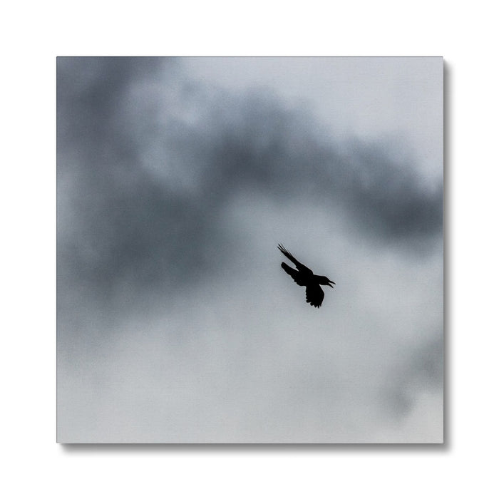 Storm Raven 3 Canvas