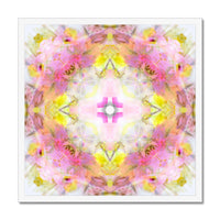 Rescue Remedy Framed Print