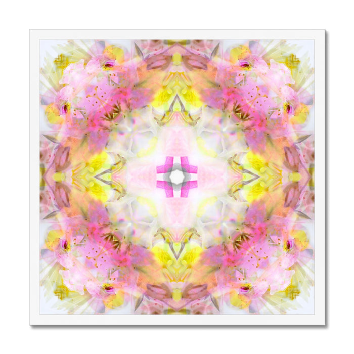 Rescue Remedy Framed Print