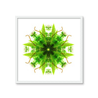 Heart of Nature Framed Photo Tile