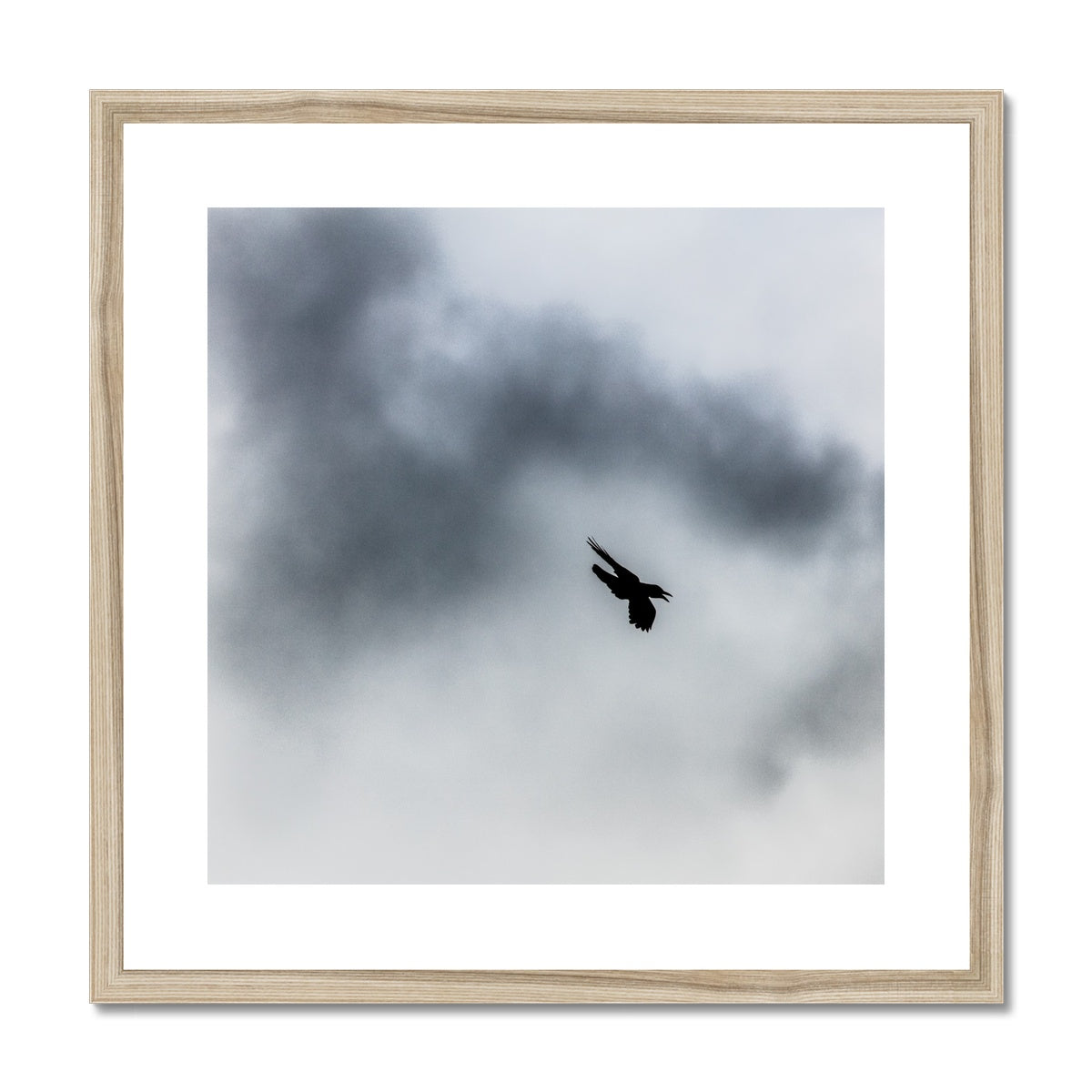 Storm Raven 3 Framed & Mounted Print