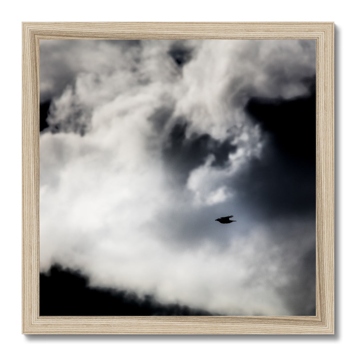 Storm Raven 1 Framed Print