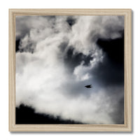 Storm Raven 1 Framed Print
