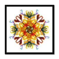 Ancient Wisdom Mandala Budget Framed Poster