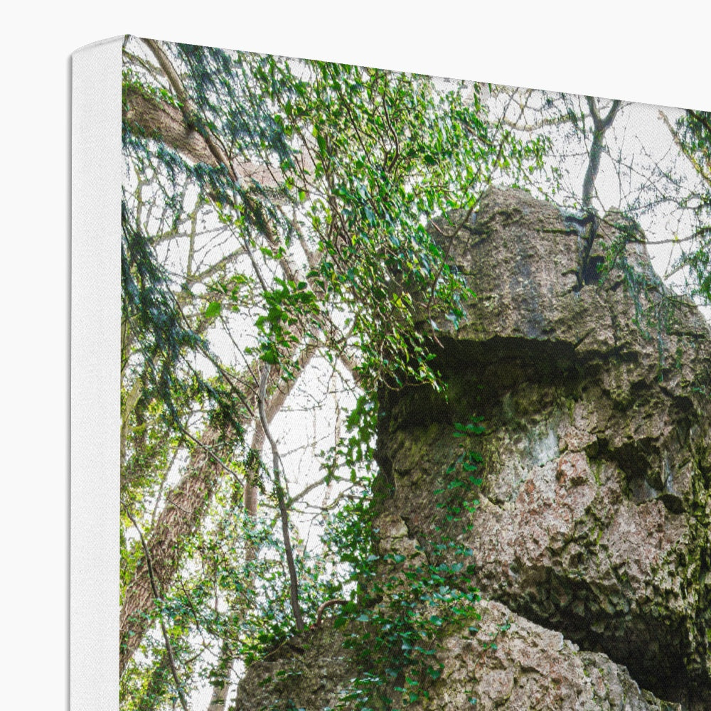 Rock Guardian Canvas