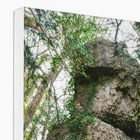 Rock Guardian Canvas