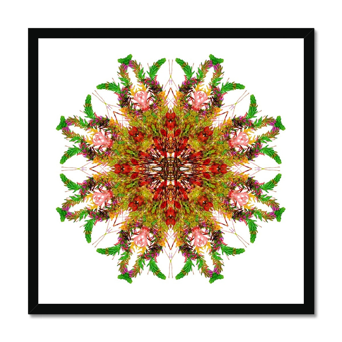 Bounty Mandala Framed Print