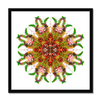 Bounty Mandala Framed Print