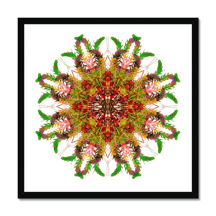 Bounty Mandala Framed Print