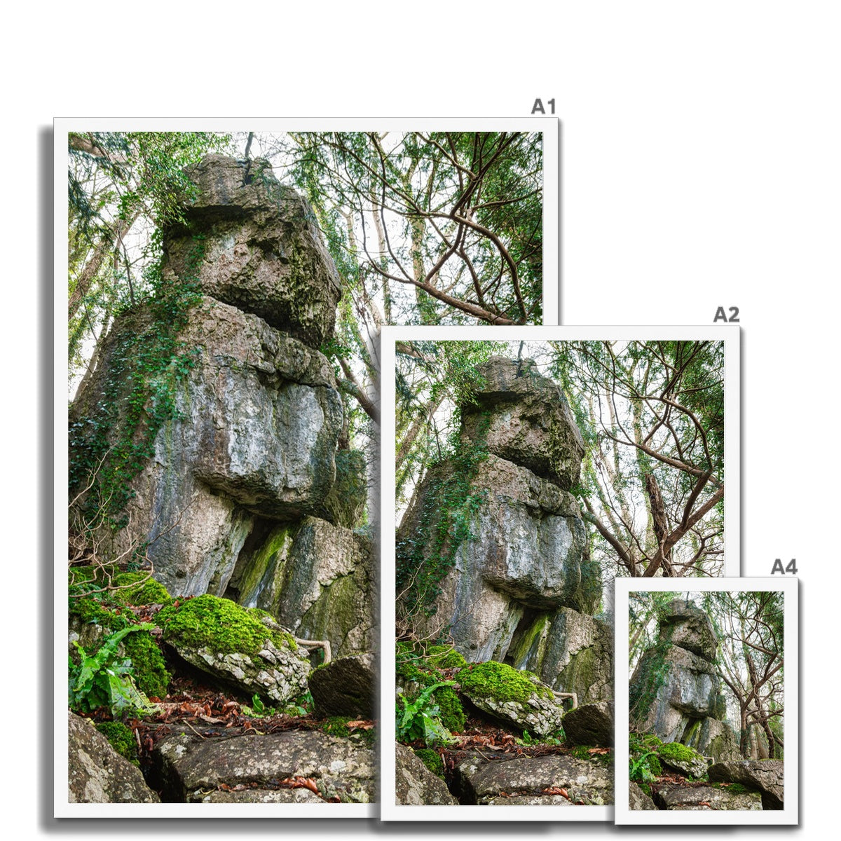 Rock Guardian Framed Print