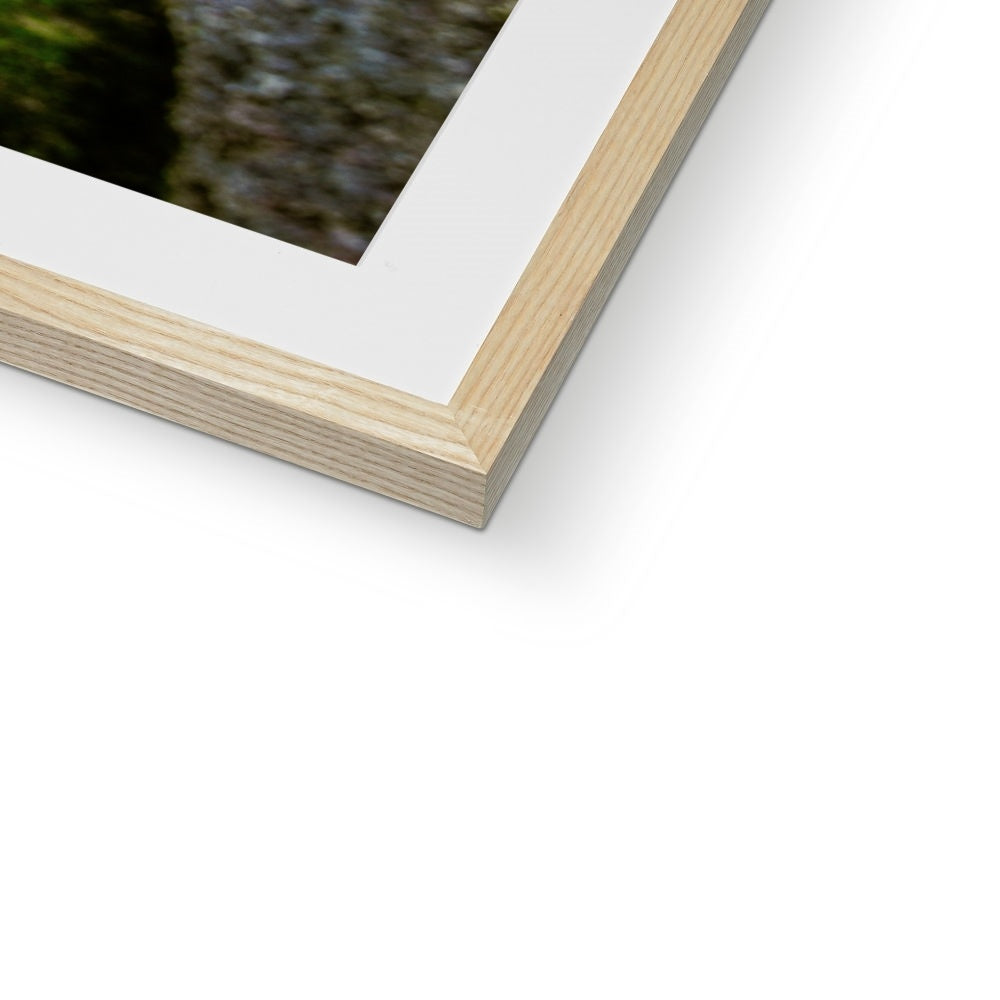 Woodwell basin Framed & Mounted Print