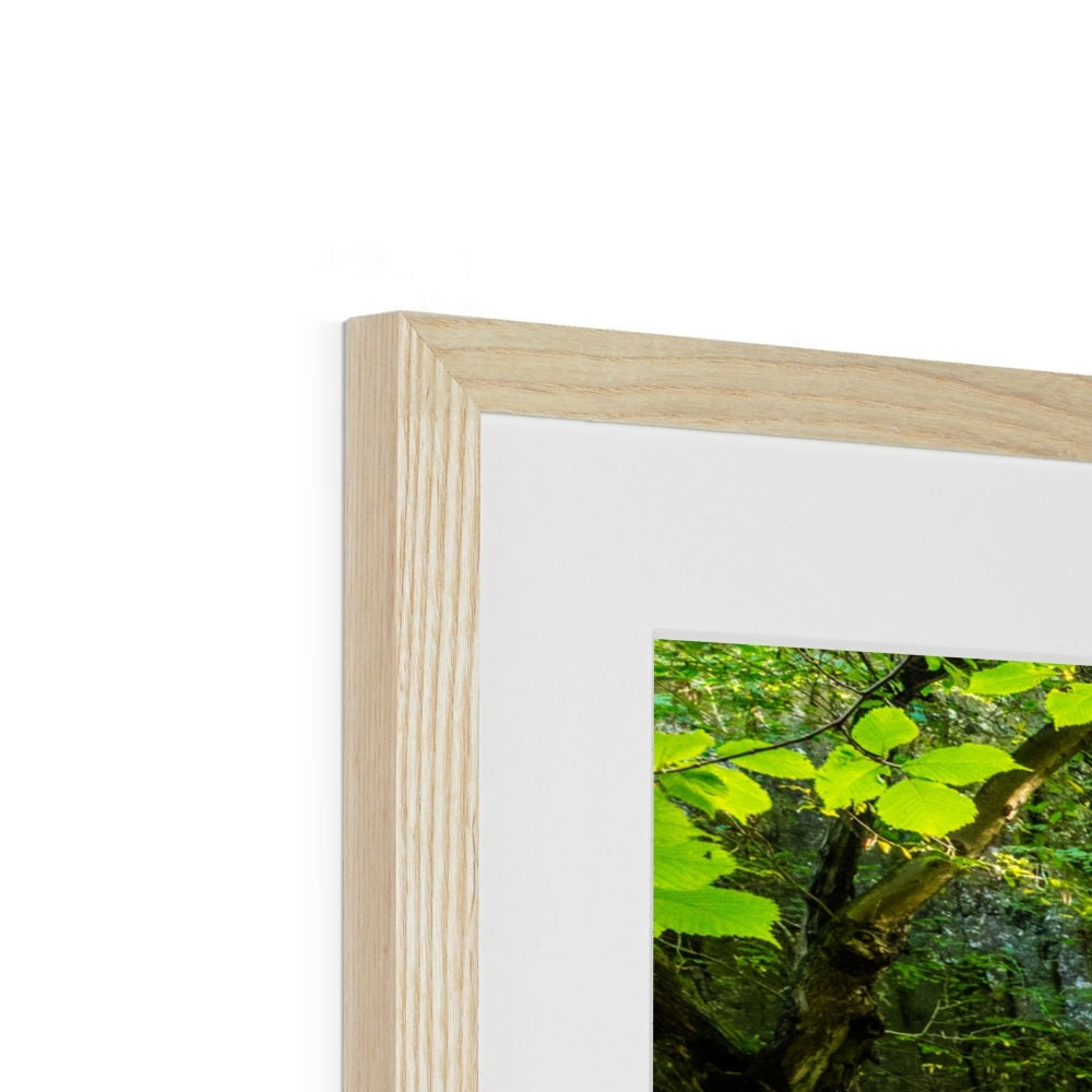 Catrigg Foss Framed & Mounted Print