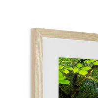 Catrigg Foss Framed & Mounted Print