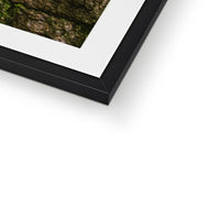 Boulder and Yew Framed & Mounted Print