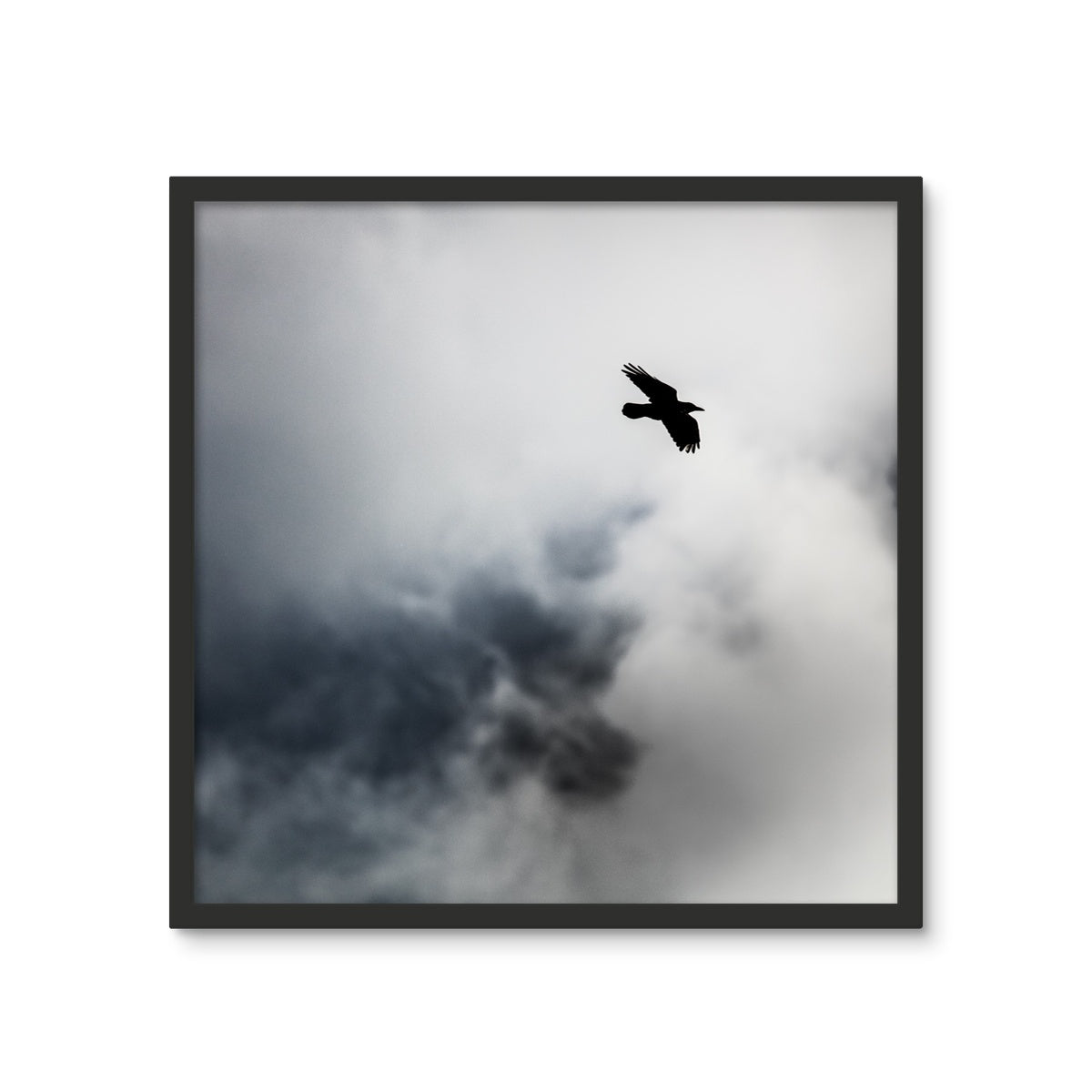 Storm Raven 2 Framed Photo Tile