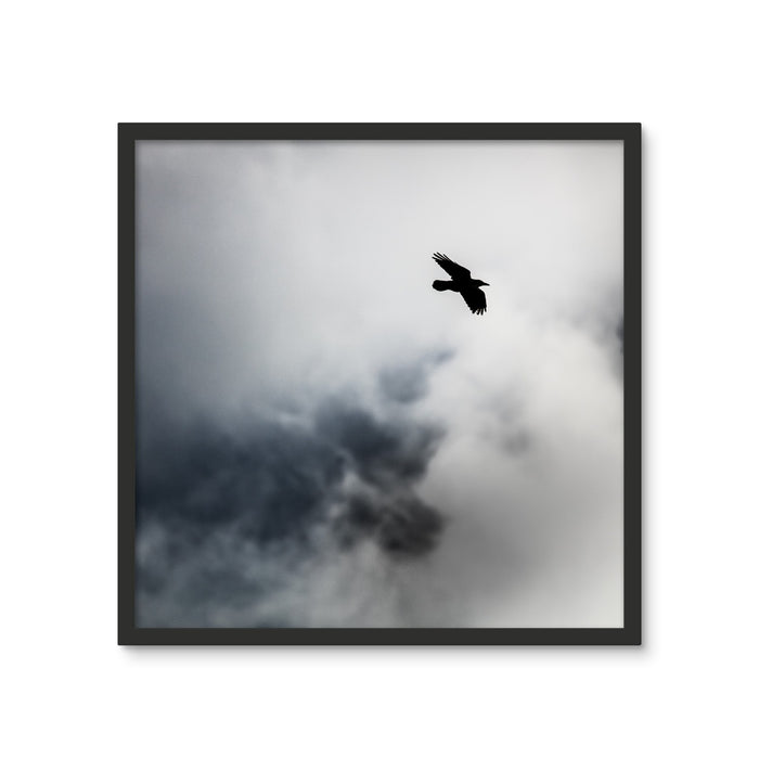 Storm Raven 2 Framed Photo Tile