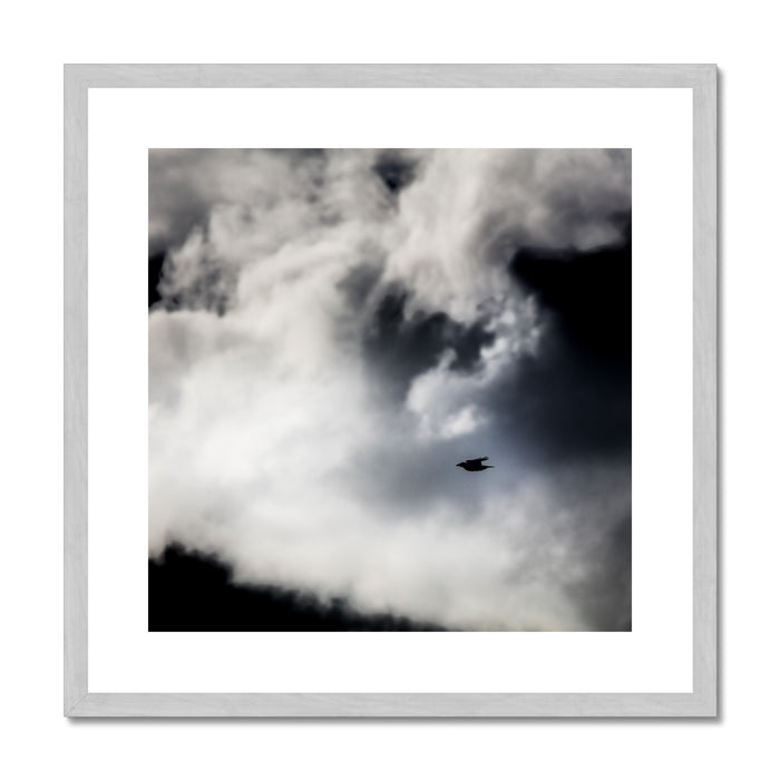 Storm Raven 1 Antique Framed & Mounted Print
