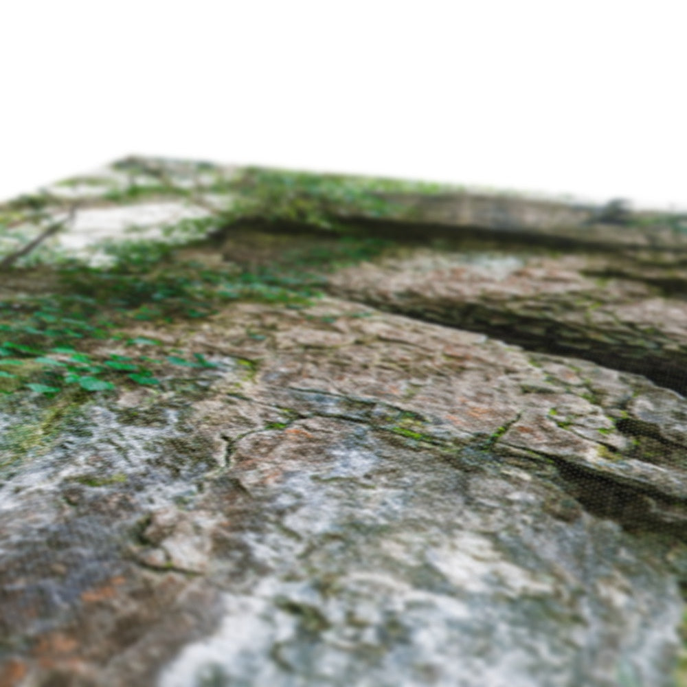 Rock Guardian Canvas