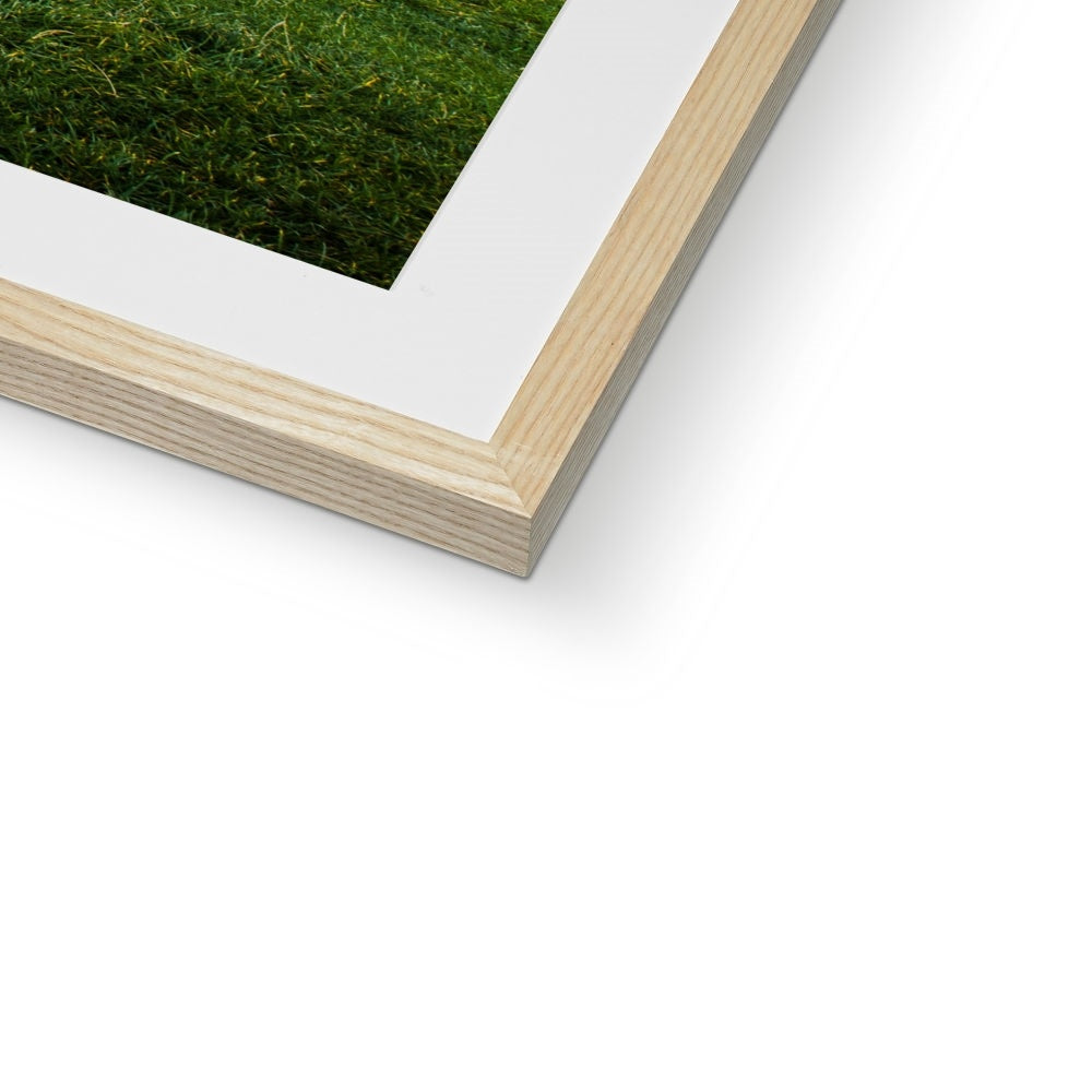 Castlerigg Reflections Framed & Mounted Print