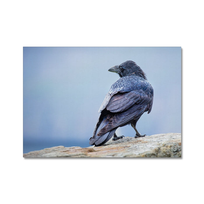 The Raven of Ireland Canvas