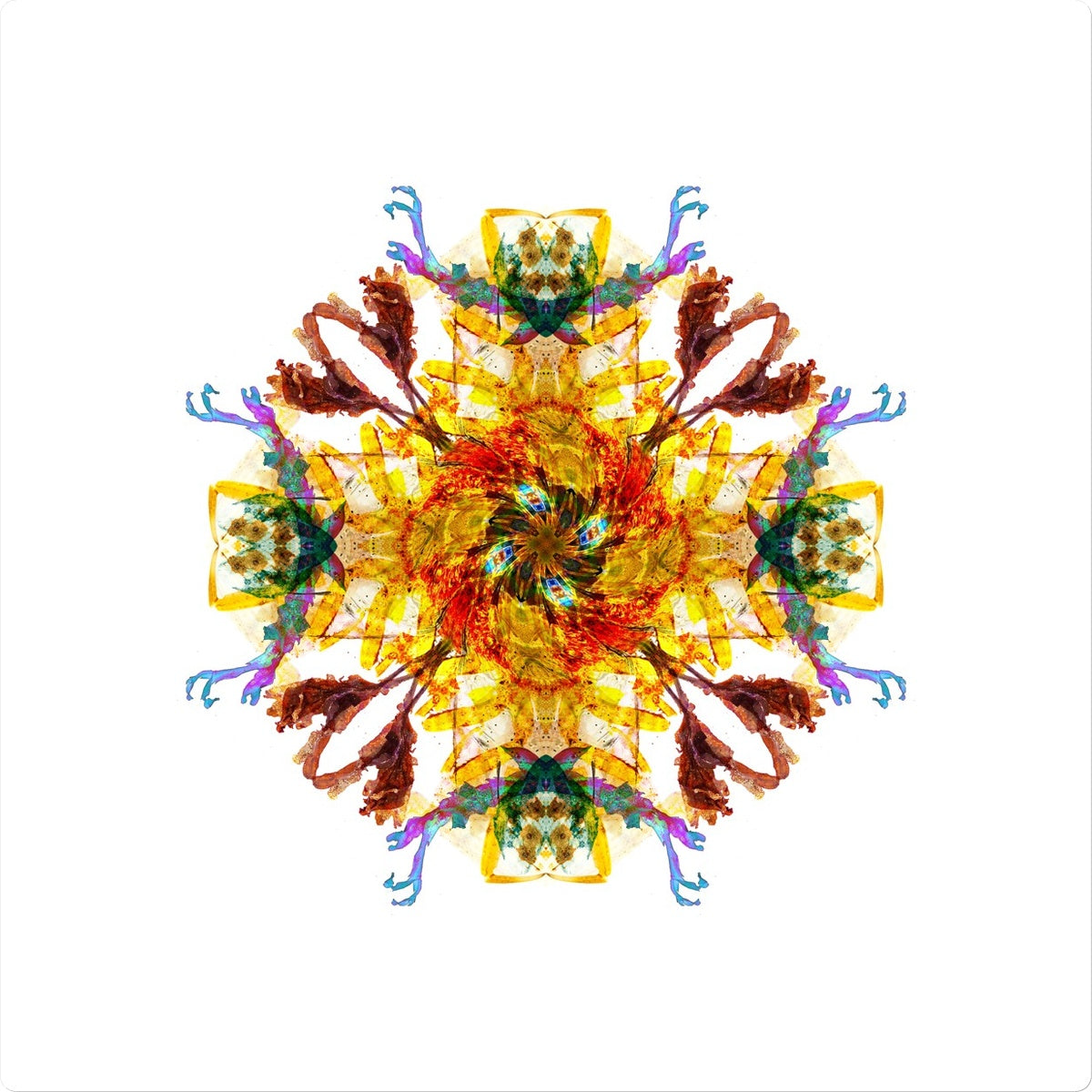 Ancient Wisdom Mandala Sticker