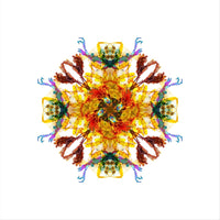 Ancient Wisdom Mandala Sticker